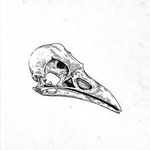 Meet your Posher, Devin